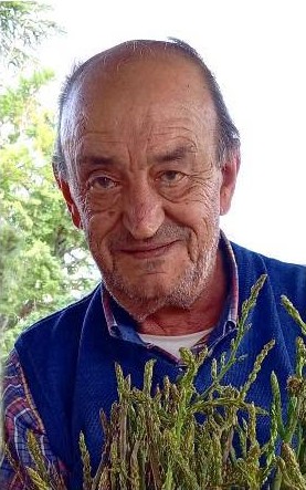 Carmine Ammazzalorso